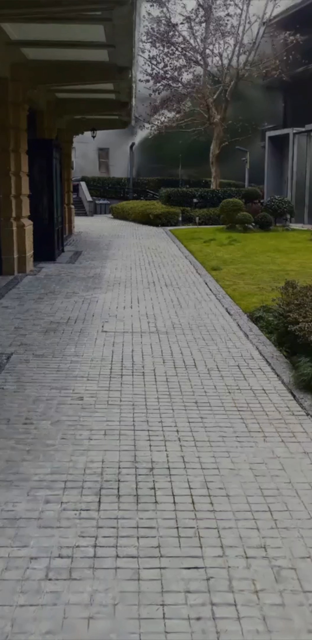 3DGS
数字世界无限逼近现实