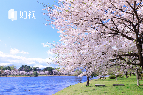 假期赶上春天的尾巴，教你留住转瞬即逝的春色